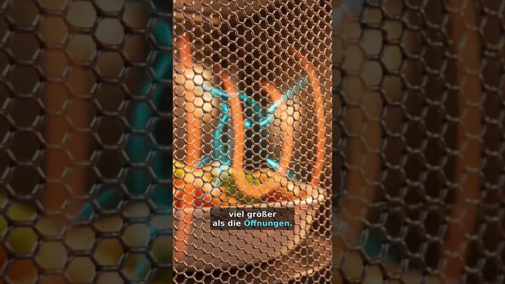 Warum hat deine Mikrowellentür ein Gitter? 🤔